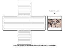 Lapbook-Minibuch-Faltform-Zebra-1-5.pdf